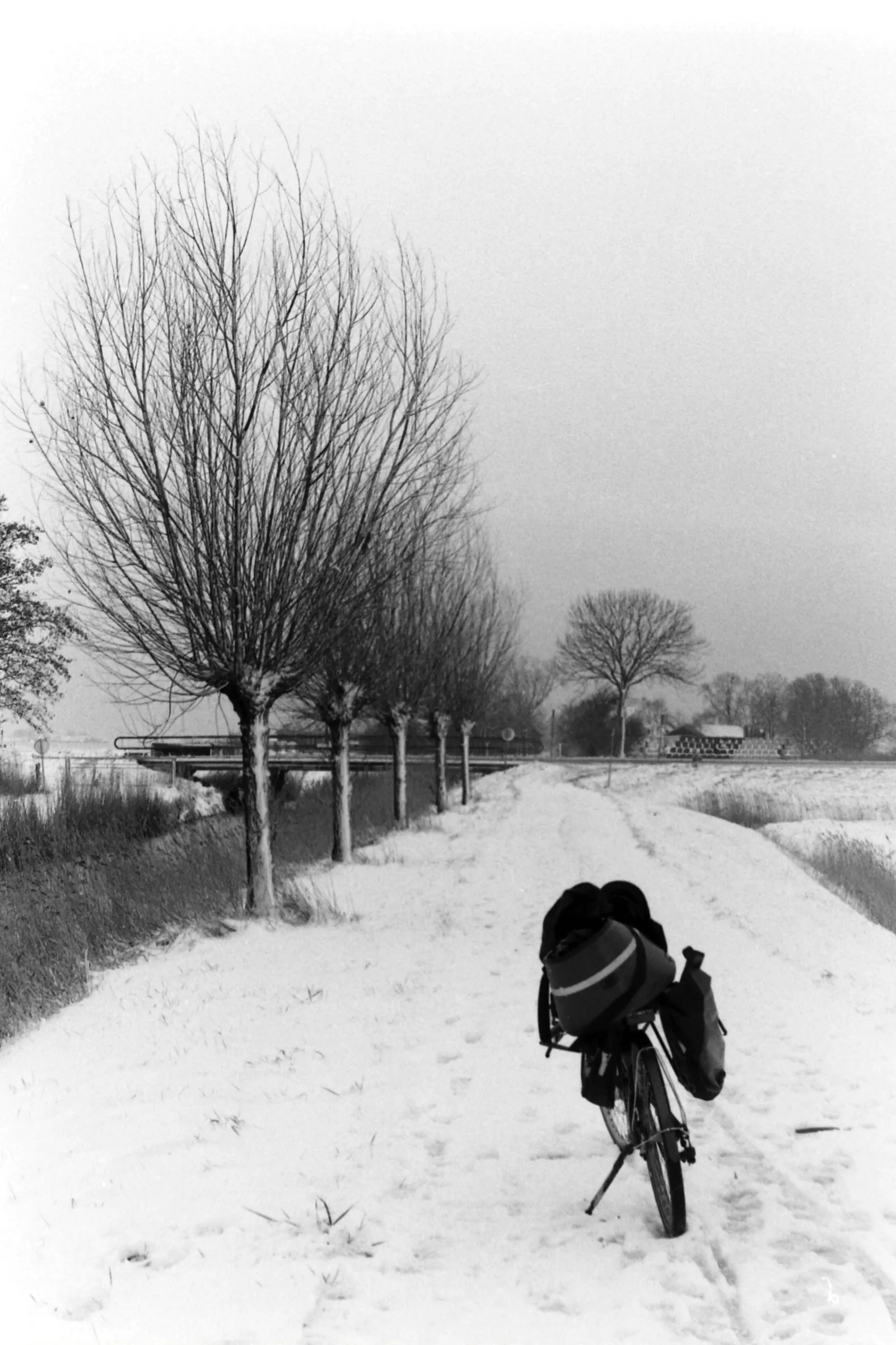 Fiets met bagagetassen op een besneeuwd fietspad langs de Slachtedijk bij Achlum in winters Friesland